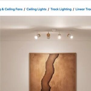 Brand new track lights 4 lights